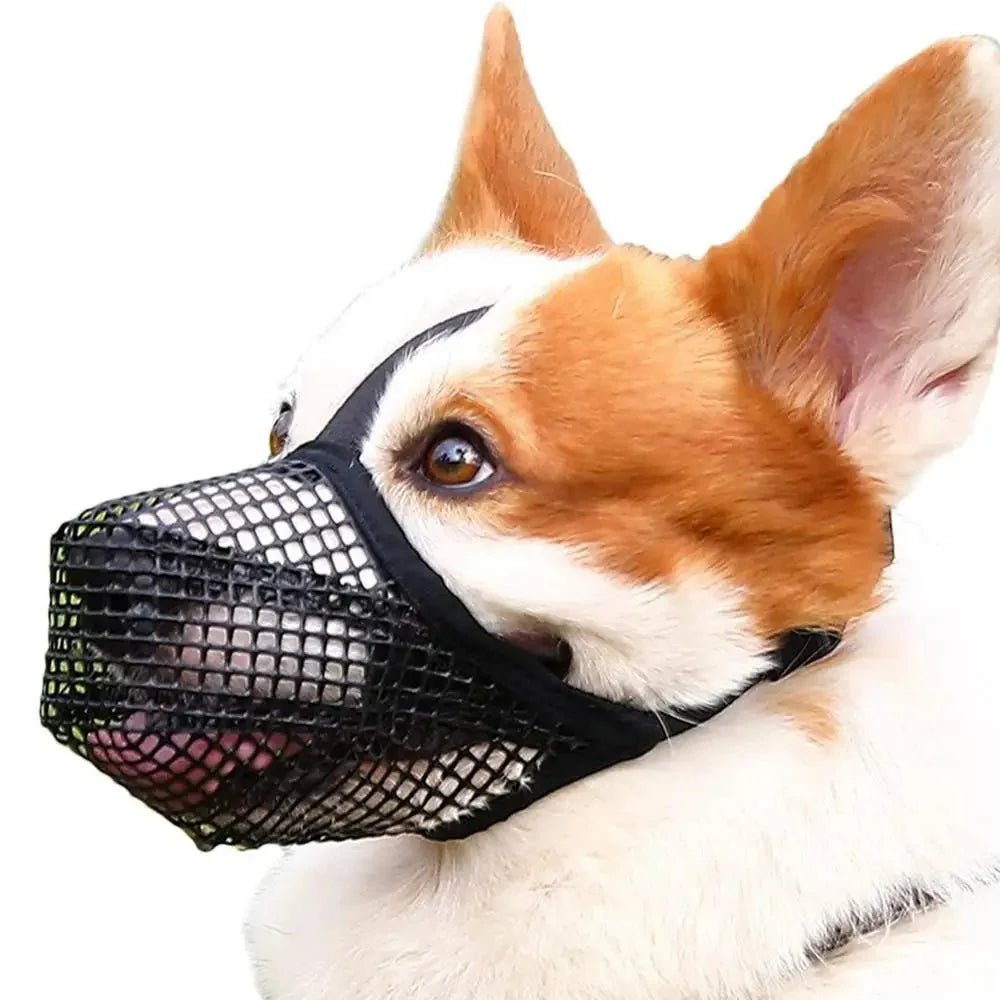 Control Without Cruelty: Why Pet Owners Are Choosing This Breathable Dog Muzzle for Everyday Use - Checkouts UK