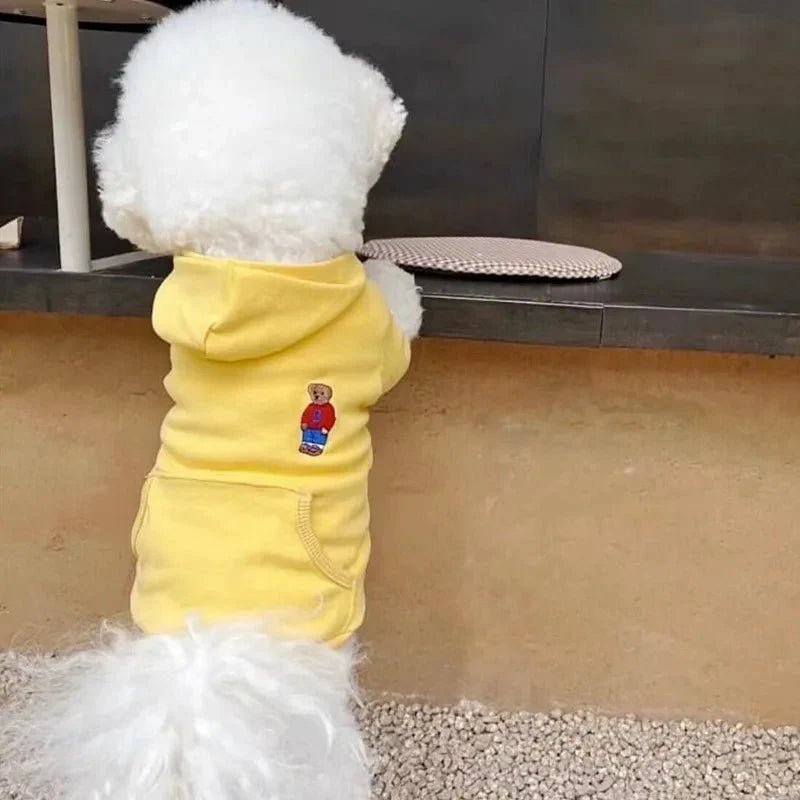 🐾 "Cozy in Style: Why Your Pup Needs an Autumn Hoodie This Season" - Checkouts UK