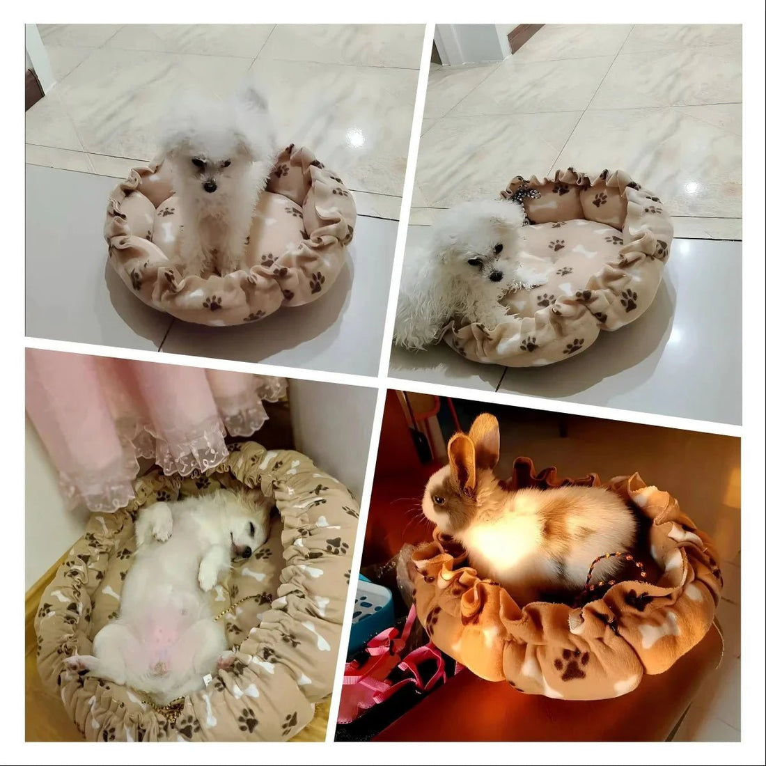 🐾 First Time Paw-rents? Here's Why This Soft Warm Pet Nest Is a Game-Changer - Checkouts USA