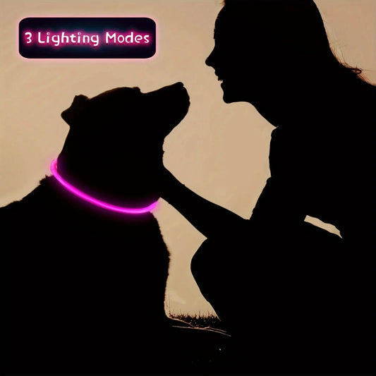 🎥 From Walk to Viral: How the LED Dog Collar Turns Nighttime Strolls into Social Media Hits - Checkouts UK