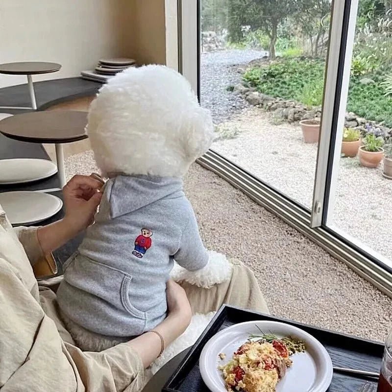 🐕🐈 "Hoodies, Hugs & Happy Tails: Dressing Your Pet Isn’t Just Cute — It’s Connection" - Checkouts UK