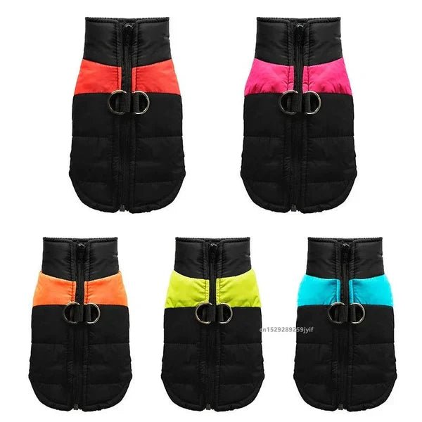 Keep Your Dog Dry and Cozy: Why Every Pup Needs a Waterproof Warm Dog Coat - Checkouts UK