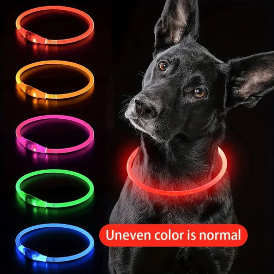 ❓ LED Dog Collar FAQ – Everything You Need to Know Before You Buy - Checkouts UK
