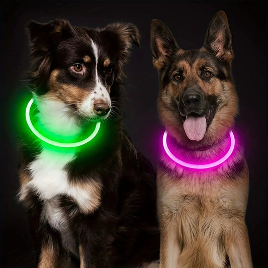 🔍 LED Dog Collar vs. Regular Collar – Which Keeps Your Pet Safer at Night? - Checkouts UK