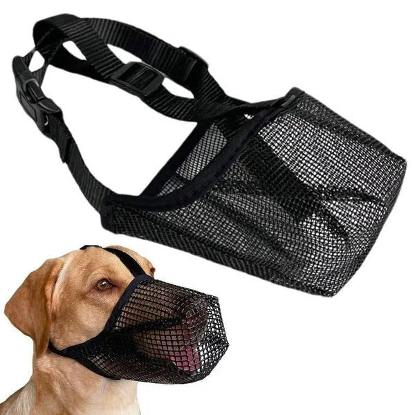 Rethinking the Muzzle – Why the Right Dog Muzzle Is a Tool for Safety, Not Shame - Checkouts UK