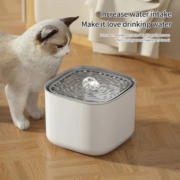 🐱 Why Every Cat Parent Needs a 3L Cat Water Fountain: A Must-Have for Happy, Healthy Cats - Checkouts UK