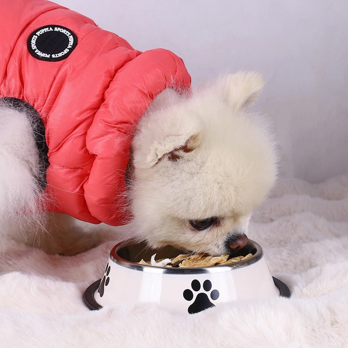 1PC Stainless Steel Pet Bowl Cat Bowl Dog Food Bowl Multi - Specification Anti - fall Food Bowl Food Bowl Feeding Pet Supplies - Furbury