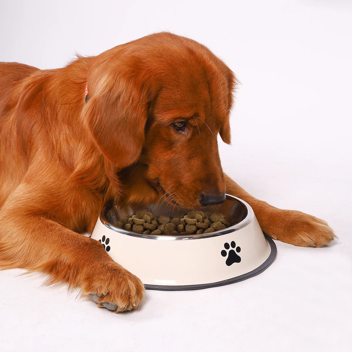 1PC Stainless Steel Pet Bowl Cat Bowl Dog Food Bowl Multi - Specification Anti - fall Food Bowl Food Bowl Feeding Pet Supplies - Furbury