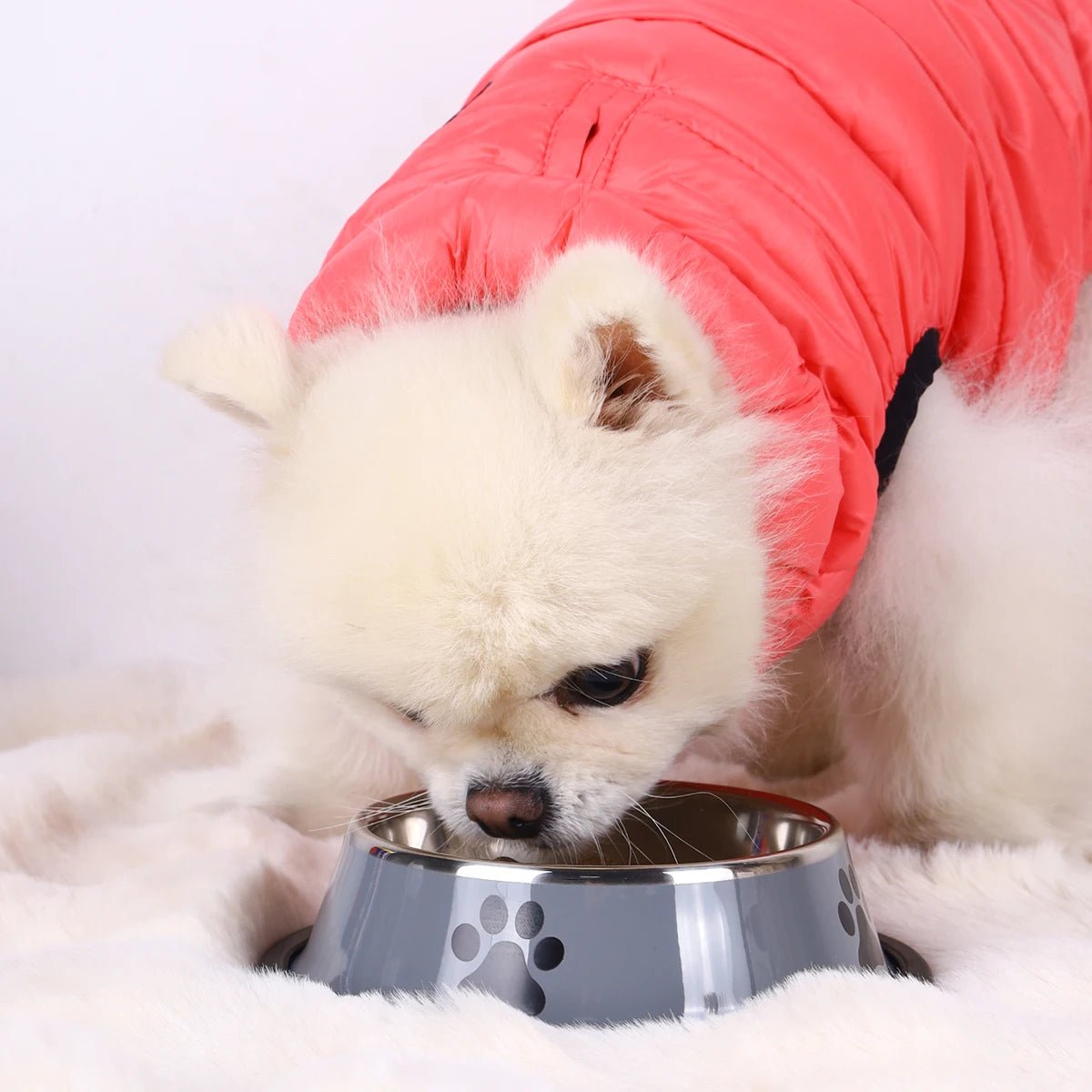 1PC Stainless Steel Pet Bowl Cat Bowl Dog Food Bowl Multi - Specification Anti - fall Food Bowl Food Bowl Feeding Pet Supplies - Furbury