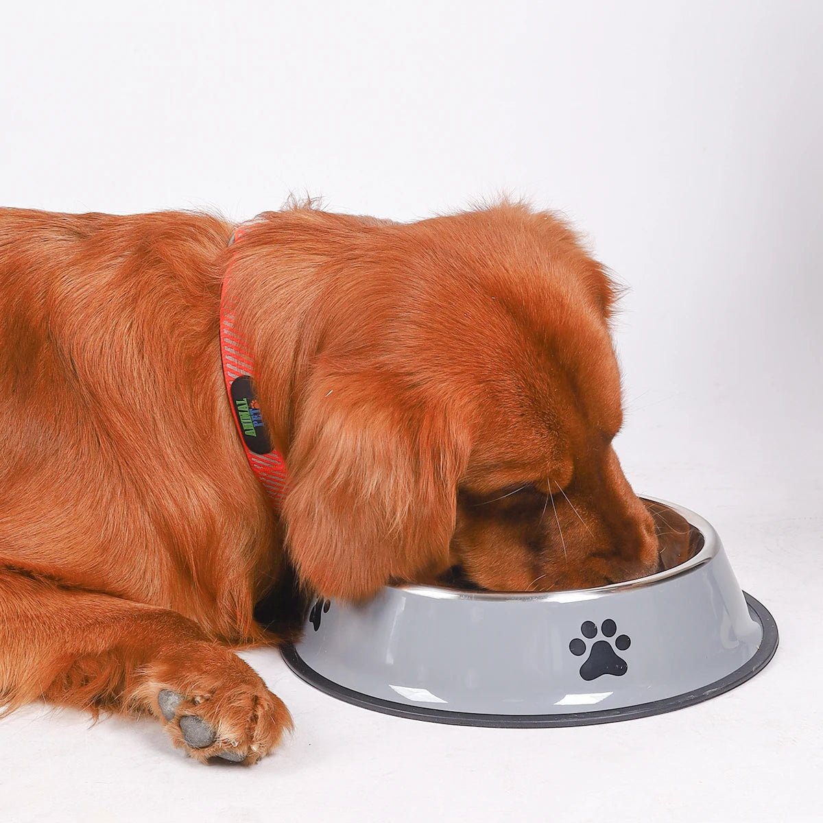 1PC Stainless Steel Pet Bowl Cat Bowl Dog Food Bowl Multi - Specification Anti - fall Food Bowl Food Bowl Feeding Pet Supplies - Furbury