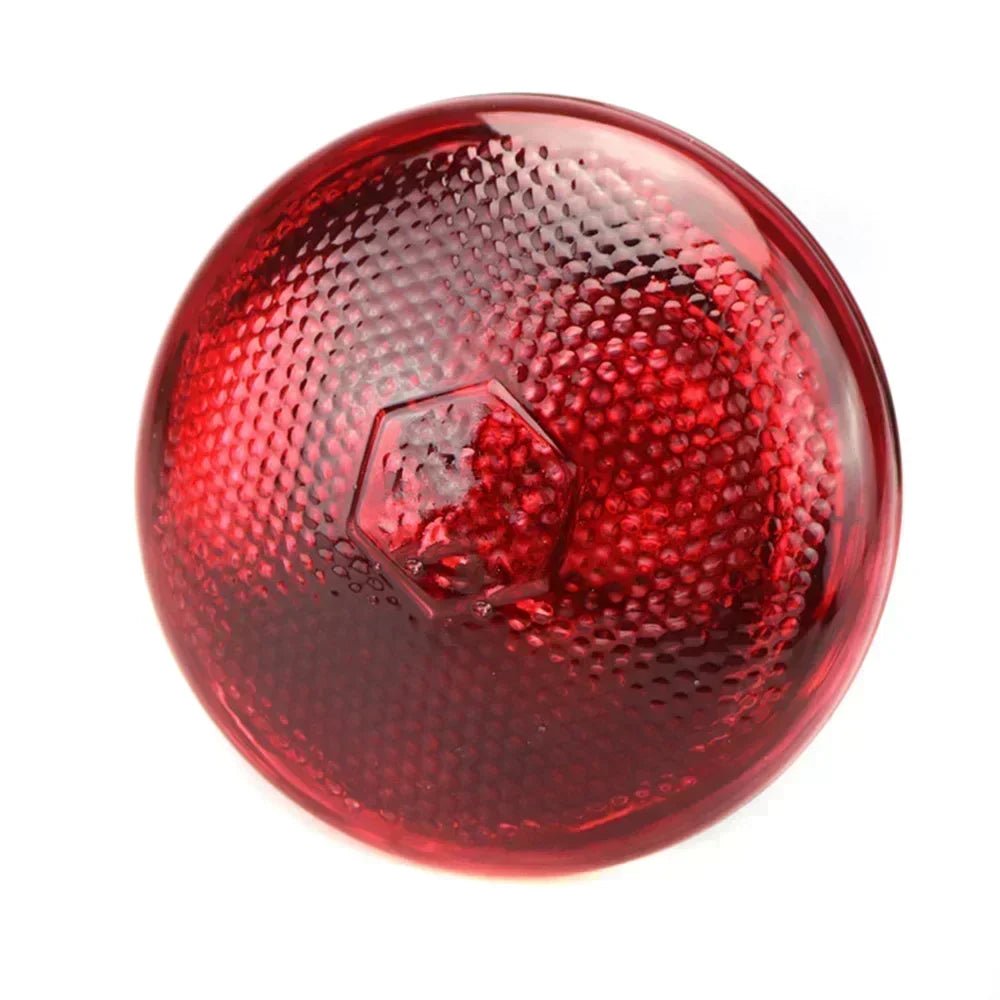 220V Poultry Heating Bulb 100/150/200/250/275W Infrared Lamp Insulation Heating for Reptiles Plants Amphibians Pets Livestock - Furbury