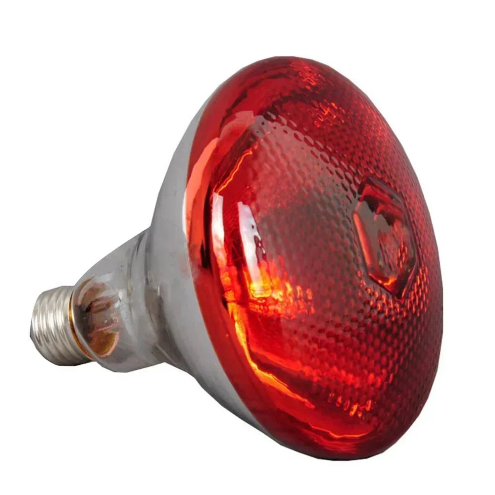 220V Poultry Heating Bulb 100/150/200/250/275W Infrared Lamp Insulation Heating for Reptiles Plants Amphibians Pets Livestock - Furbury