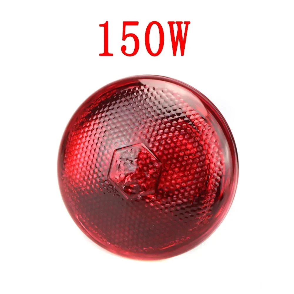 220V Poultry Heating Bulb 100/150/200/250/275W Infrared Lamp Insulation Heating for Reptiles Plants Amphibians Pets Livestock - Furbury