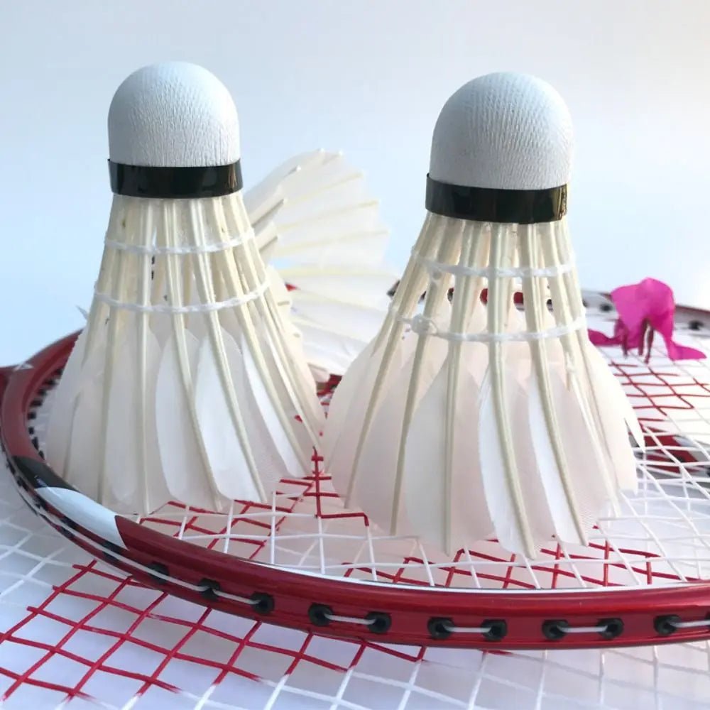 3/6/12Pcs Professional Badminton Shuttlecock Black Goose Feather Badminton Shuttlecock Training Sport Badminton Ball - Checkouts UK