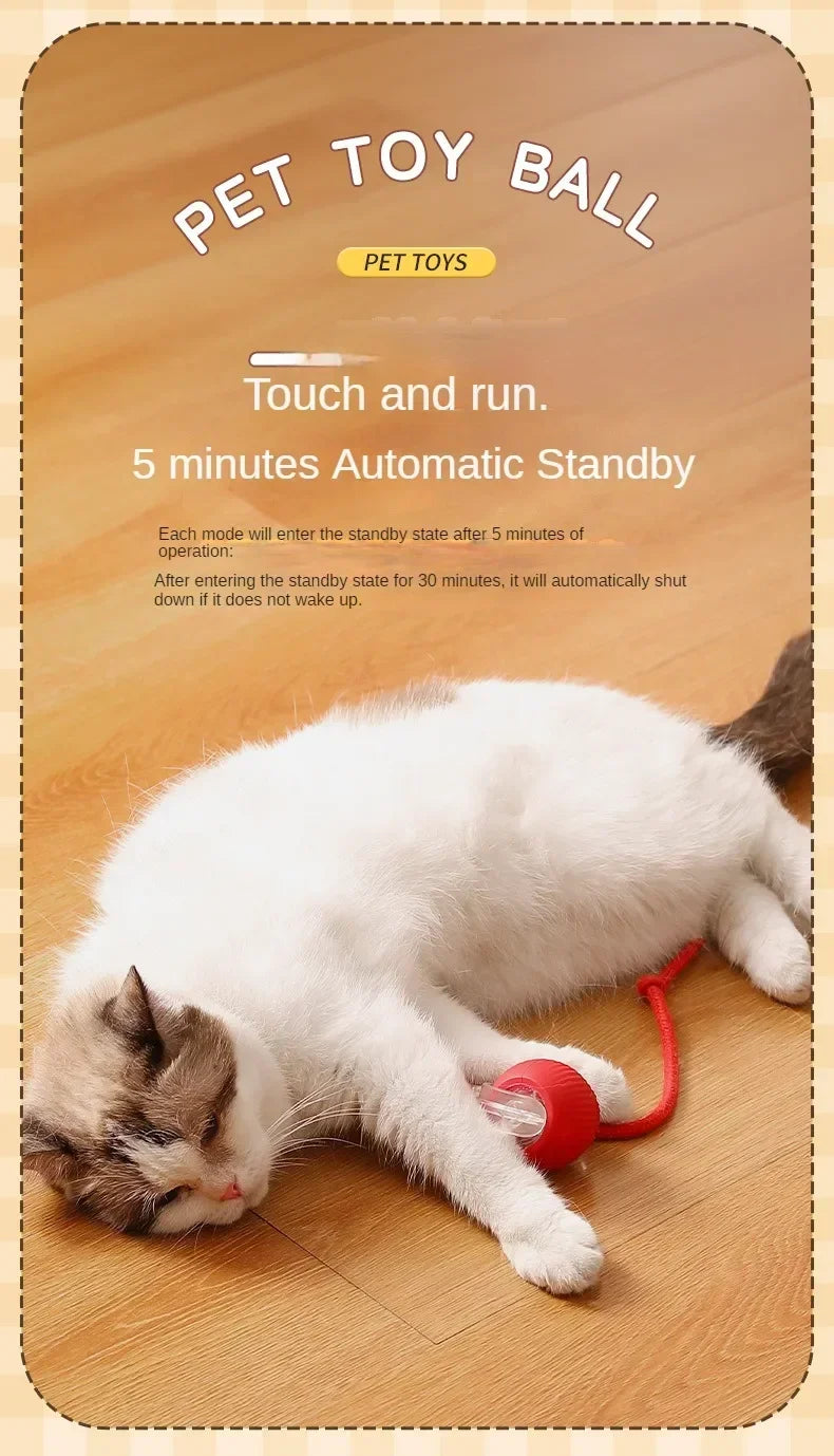 Cat Interactive Ball Training Self-moving Kitten Electric Cat Ball Toys Electronic Automatic Rolling Magic Ball Toys for Cat
