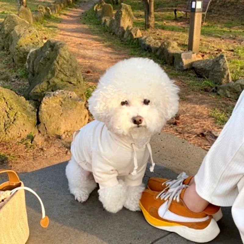 Autumn Thin Dog Hoodies Puppy Sweatshirt Chihuahua French Bulldog Clothing Solid Dog Costume Pet Dog Clothes for Dogs and Cats