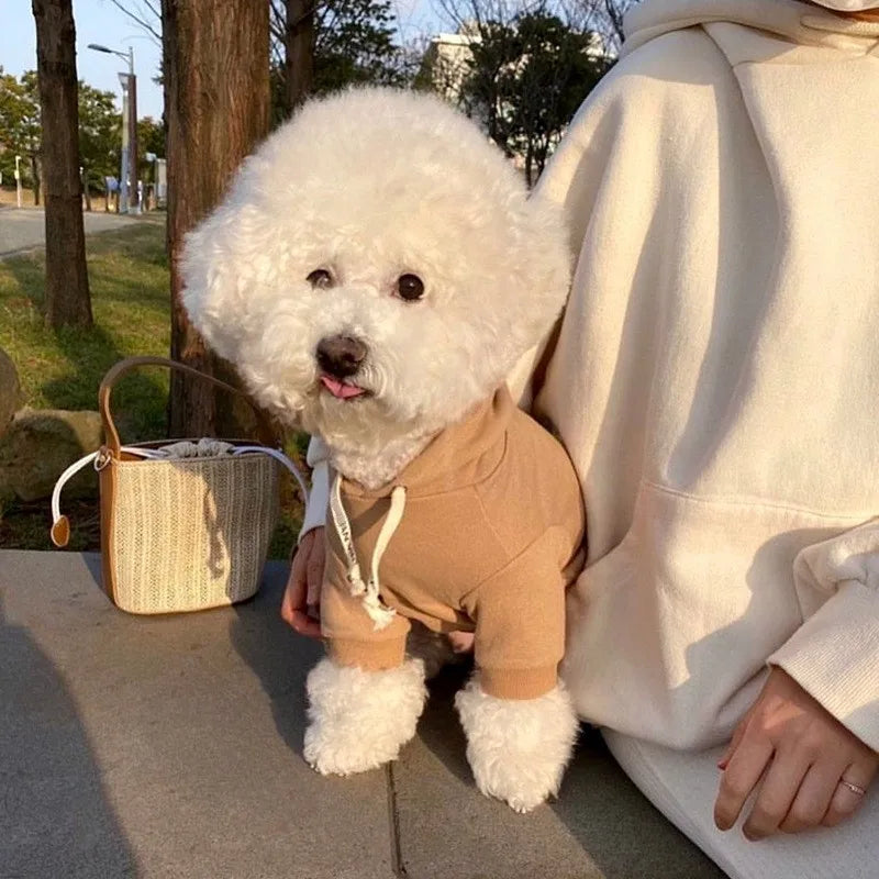 Autumn Thin Dog Hoodies Puppy Sweatshirt Chihuahua French Bulldog Clothing Solid Dog Costume Pet Dog Clothes for Dogs and Cats