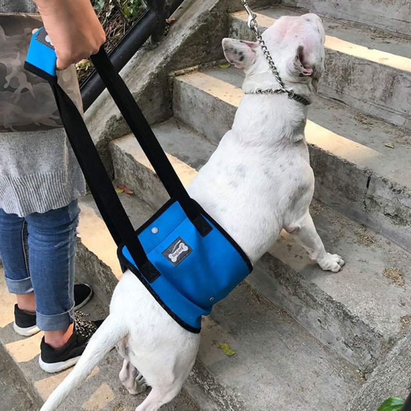 Adjustable Dog Lift Sling Harness For Back Legs Pet Support Sling Help Weak Legs Stand Up Pet Dogs Aid Assist Tool For Old Dogs - Checkouts UK