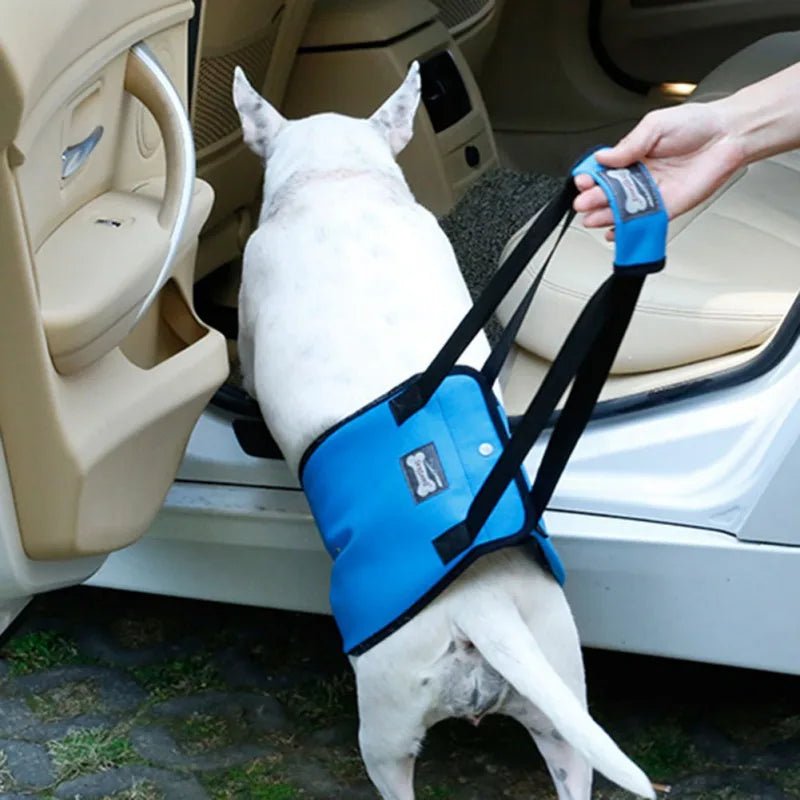 Adjustable Dog Lift Sling Harness For Back Legs Pet Support Sling Help Weak Legs Stand Up Pet Dogs Aid Assist Tool For Old Dogs - Checkouts UK