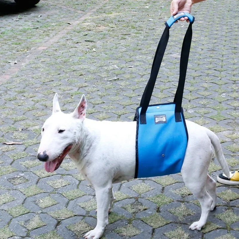 Adjustable Dog Lift Sling Harness For Back Legs Pet Support Sling Help Weak Legs Stand Up Pet Dogs Aid Assist Tool For Old Dogs - Checkouts UK