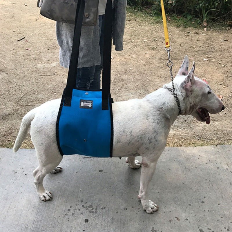 Adjustable Dog Lift Sling Harness For Back Legs Pet Support Sling Help Weak Legs Stand Up Pet Dogs Aid Assist Tool For Old Dogs - Checkouts UK