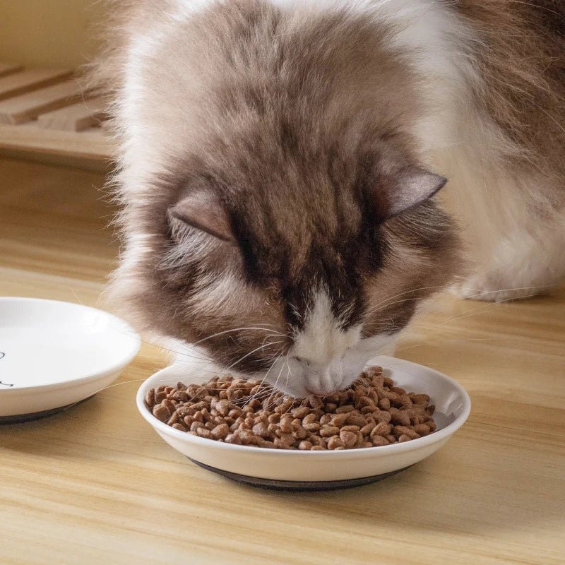 Cat Plates With Silicone Anti Slip Pad Pet Cat Snack Bowl Cute Kitten Food Bowl Pet Kitten Water Bowl Pet Supplies - Checkouts UK