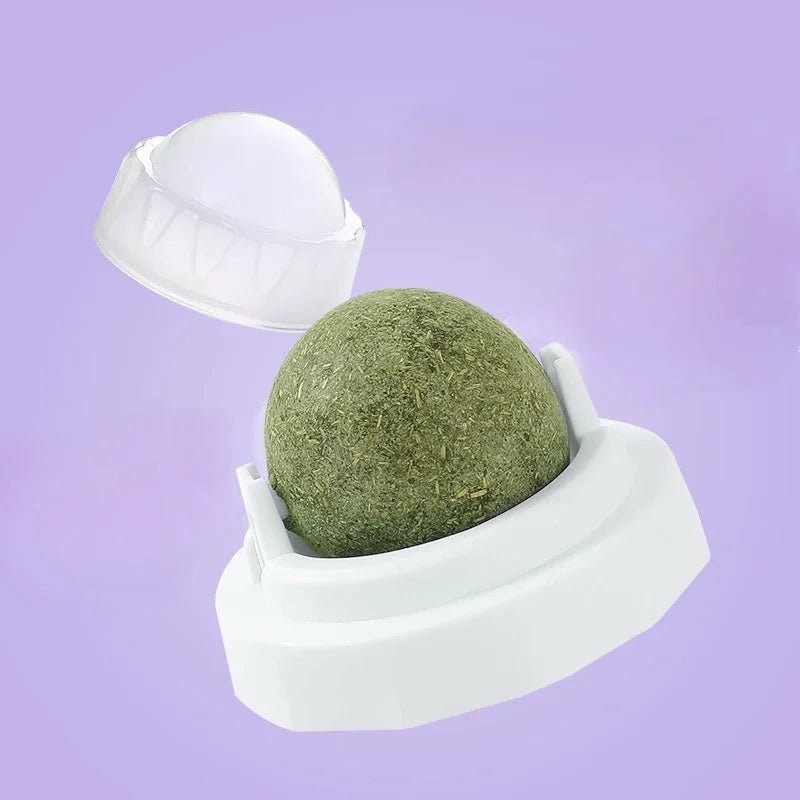 Cats Toys Natural Catnip Cat Rotatable Licking Catnip Wall Ball Toy Freshen Breath Remove Hair Balls Cat Accessories Pet Supply - Furbury