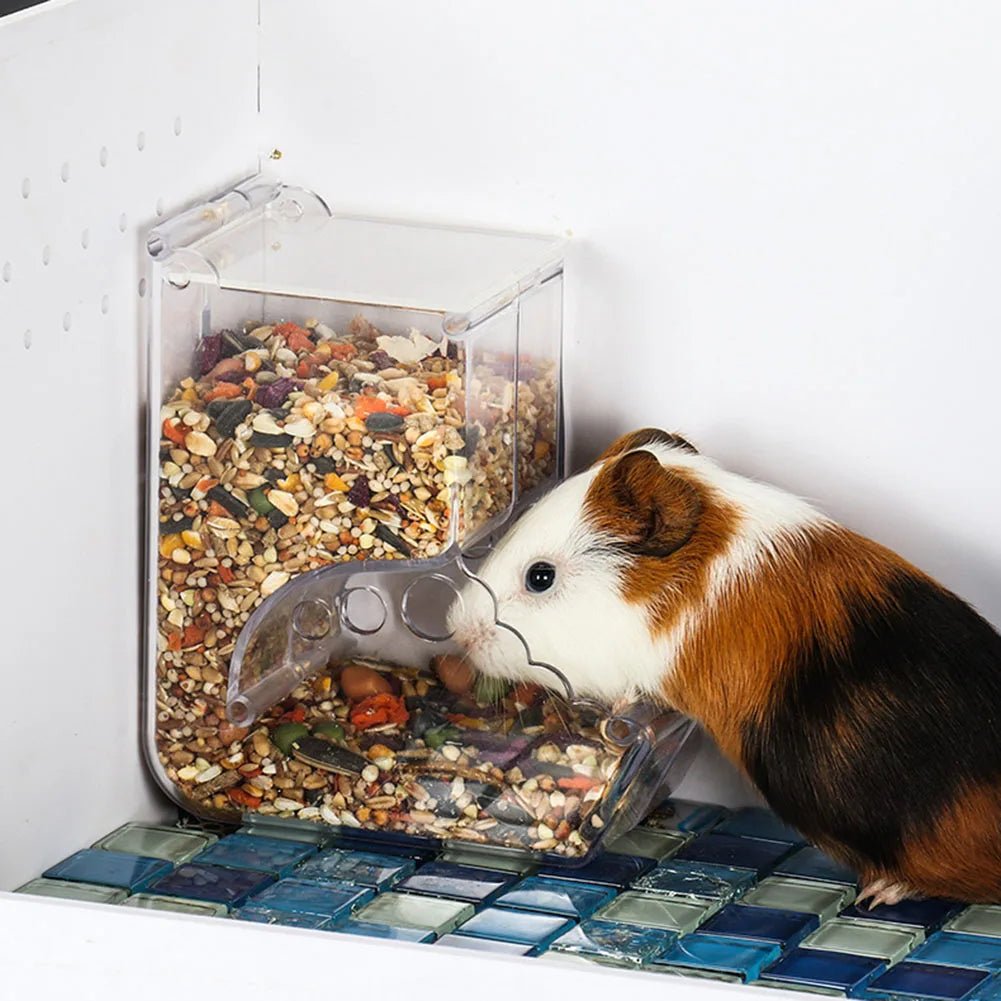 Cute Hamster Samll Animal Automatic Pet Food Feeder Transparent Safe Food Bowl - Furbury