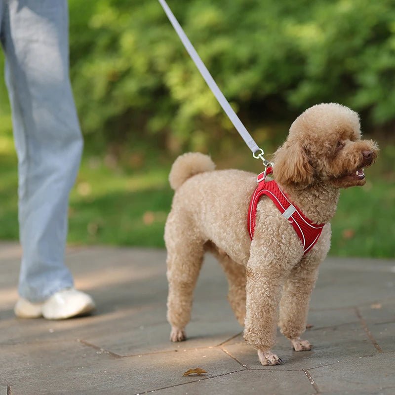 Dog Harness Leash Set for Small Dogs Adjustable Puppy Cat Harness Vest French Bulldog Chihuahua Pug Outdoor Walking Lead Leash - Furbury