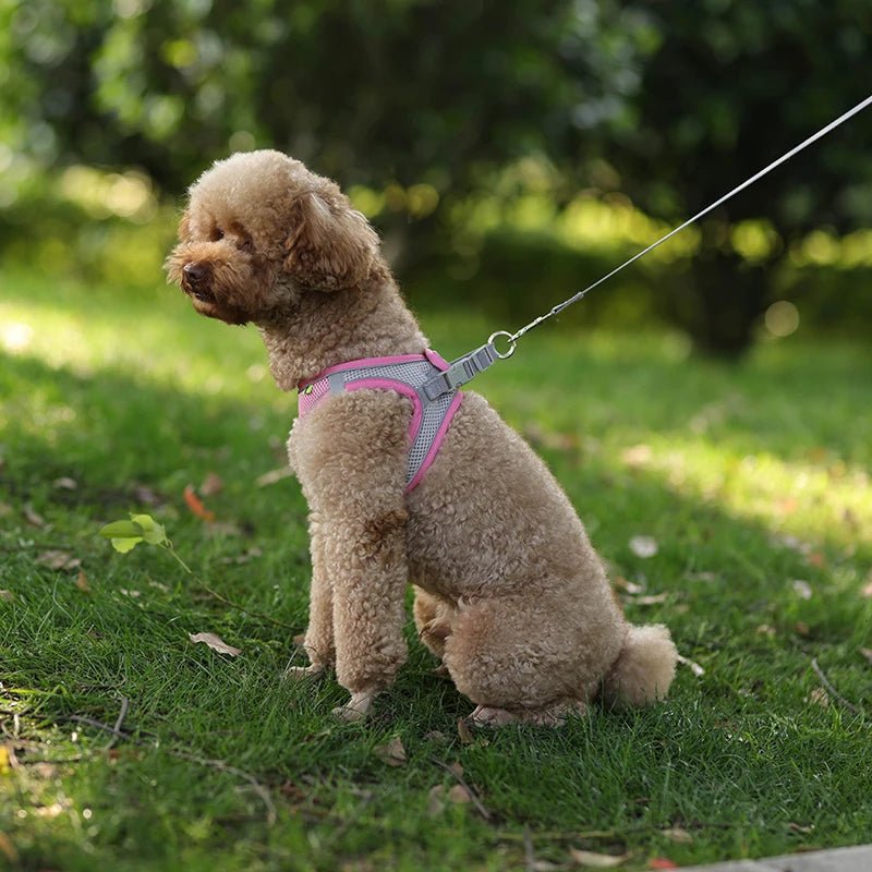Dog Harness Leash Set for Small Dogs Adjustable Puppy Cat Harness Vest French Bulldog Chihuahua Pug Outdoor Walking Lead Leash - Furbury