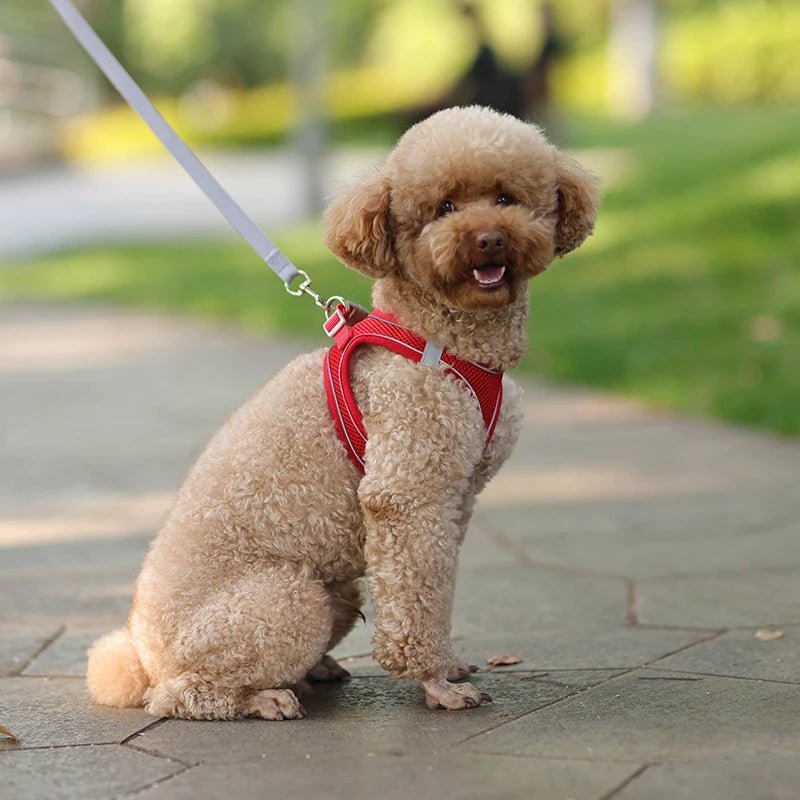Dog Harness Leash Set for Small Dogs Adjustable Puppy Cat Harness Vest French Bulldog Chihuahua Pug Outdoor Walking Lead Leash - Furbury