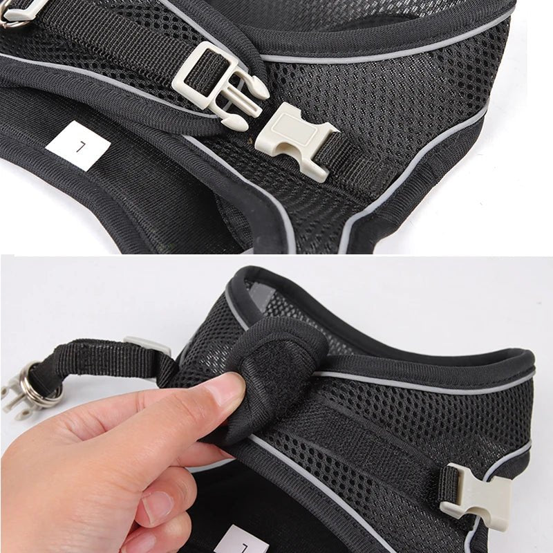 Dog Harness Leash Set for Small Dogs Adjustable Puppy Cat Harness Vest French Bulldog Chihuahua Pug Outdoor Walking Lead Leash - Furbury
