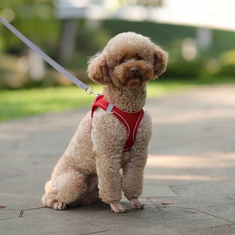 Dog Harness Leash Set for Small Dogs Adjustable Puppy Cat Harness Vest French Bulldog Chihuahua Pug Outdoor Walking Lead Leash - Furbury