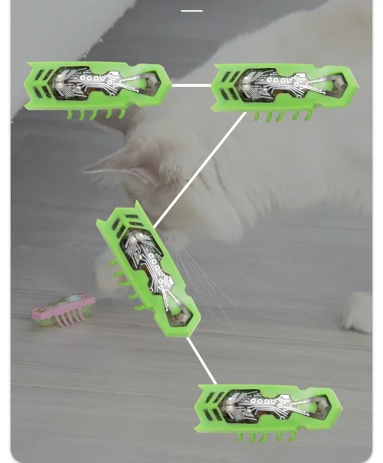 Funny Electric Bugs Catnip Toy Automatic Tunnel Mini Robot Bug Vibration Insect Toys For Cats Battery Operated Cockroach Ladybug - Furbury