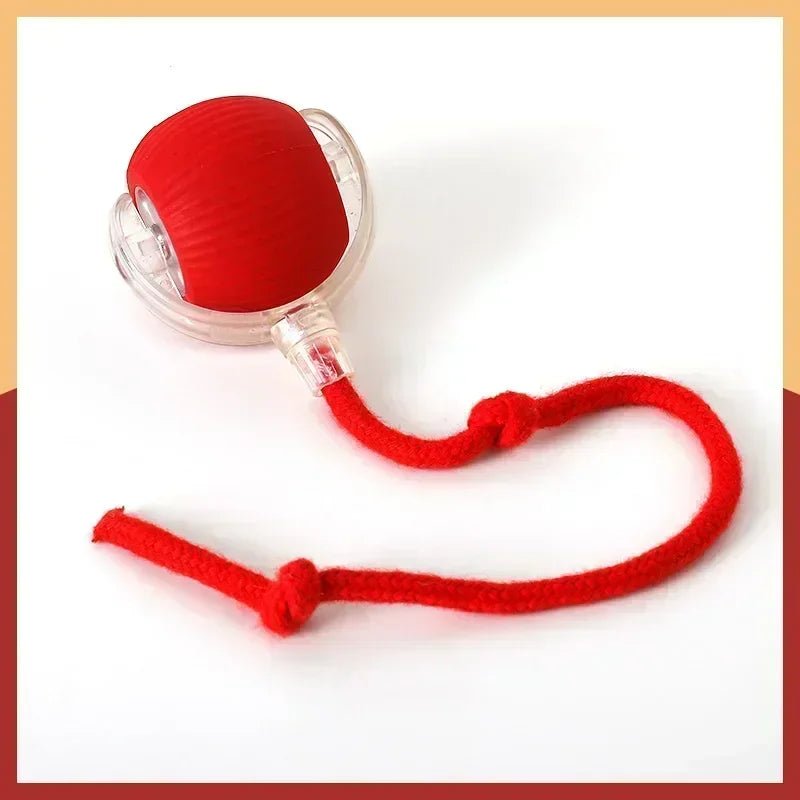 Interactive Dog Toys Rechargeable Pet Interactive Toys Electric Cats Ball Automatic Rolling Fake Tail Ball Dog Cats Toy - Furbury