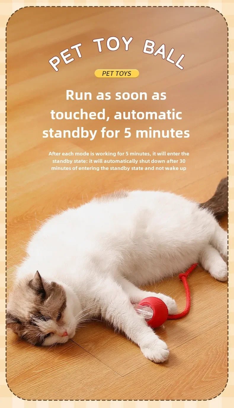 Interactive Dog Toys Rechargeable Pet Interactive Toys Electric Cats Ball Automatic Rolling Fake Tail Ball Dog Cats Toy - Furbury