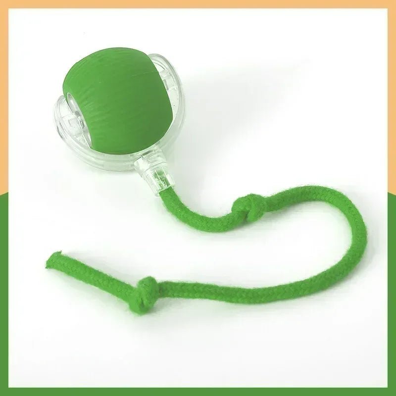 Interactive Dog Toys Rechargeable Pet Interactive Toys Electric Cats Ball Automatic Rolling Fake Tail Ball Dog Cats Toy - Furbury