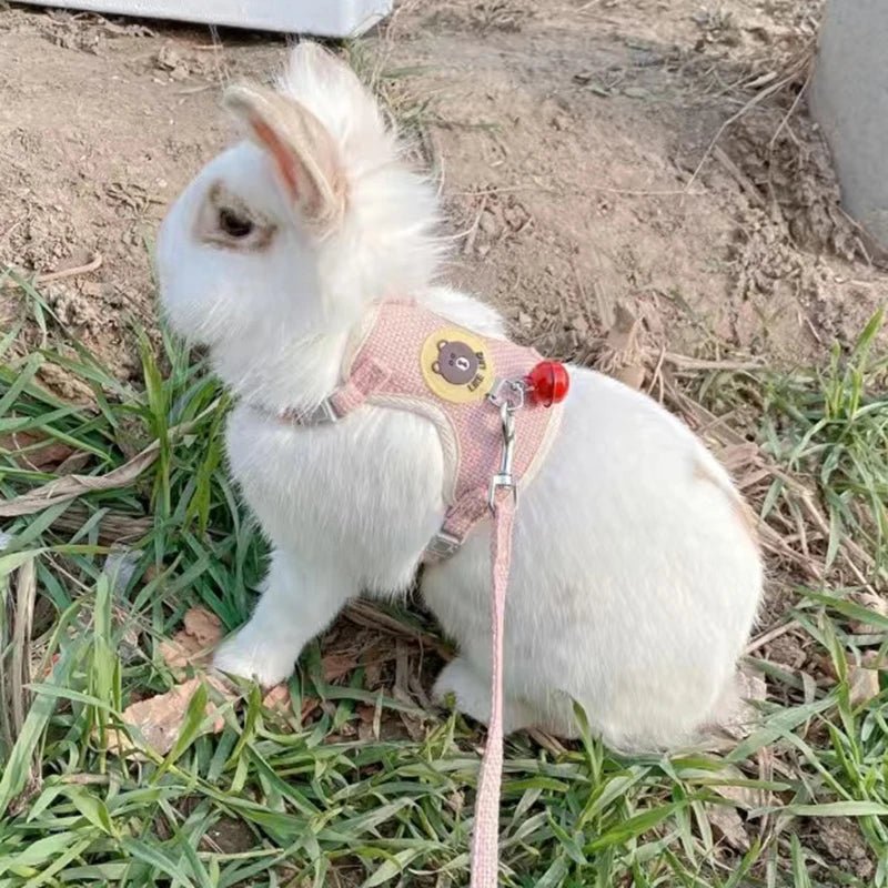 Newest Cute Rabbit Harness and Leash Set Bunny Pet Accessories Vest Harnesses Rabbit Leashes for Outdoor Walking Pets Supplies - Furbury
