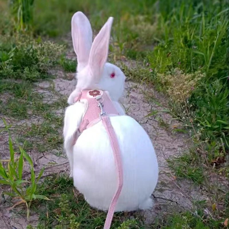 Newest Cute Rabbit Harness and Leash Set Bunny Pet Accessories Vest Harnesses Rabbit Leashes for Outdoor Walking Pets Supplies - Furbury