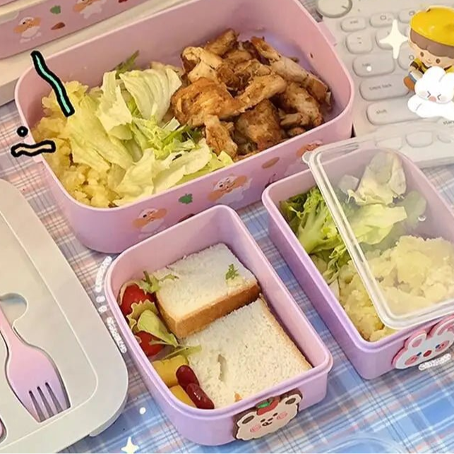Portable Lunch Box For Girls School Kids Plastic Picnic Bento Box Microwave Food Box With Compartments Storage Containers - Checkouts UK