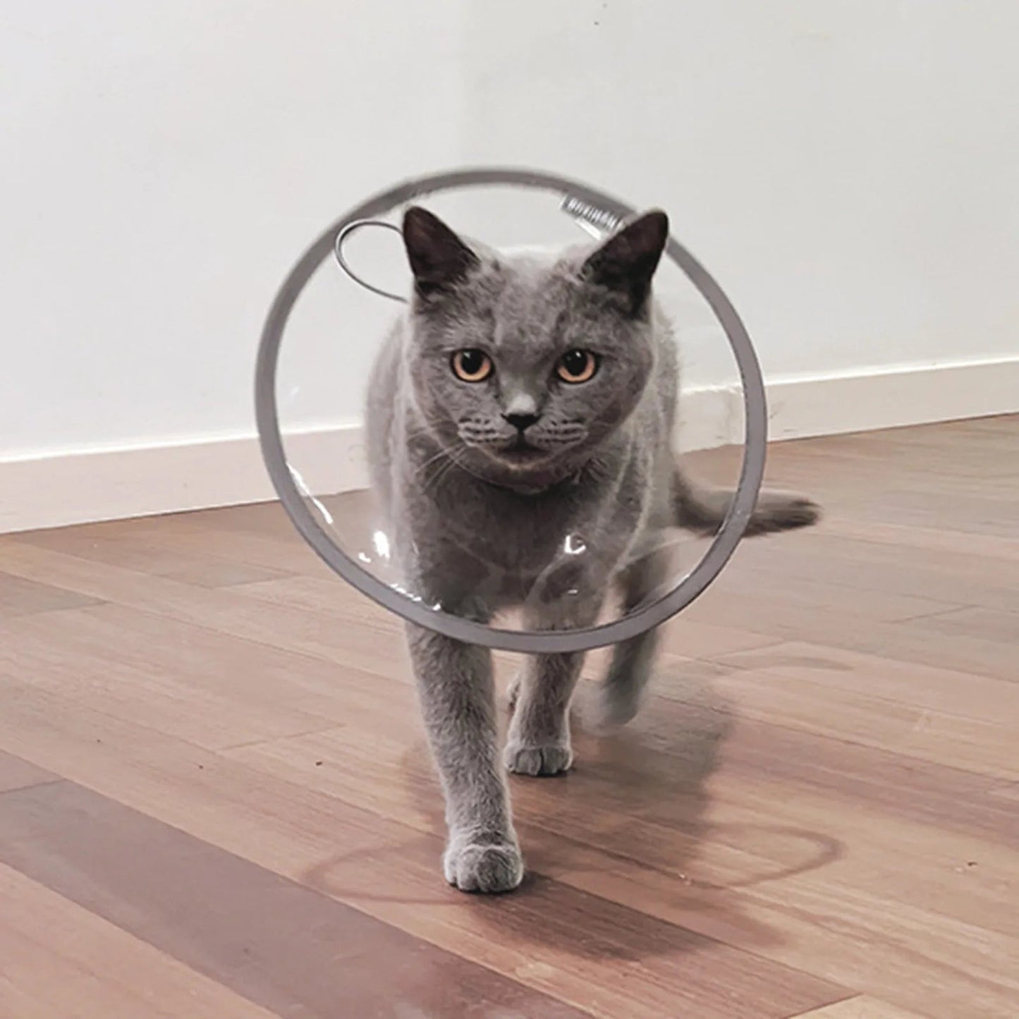 Soft Cat Recovery Collar Protective Adjustable Pet Cone Collar For After Surgery Comfortable Lightweight Elizabethan Collar - Checkouts UK