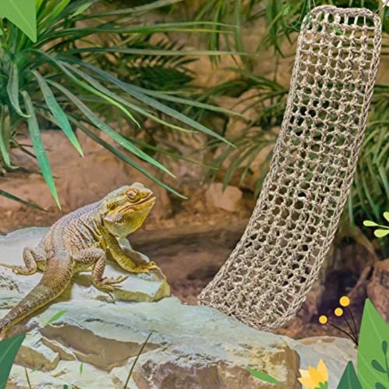 Wholesale Bulk 1PC Bearded Dragon Hammock Reptile Lounger for Chameleon Lizards Gecko Snakes Lguana Reptiles Geckos Grass Cushion Pet Bed Swing - Furbury