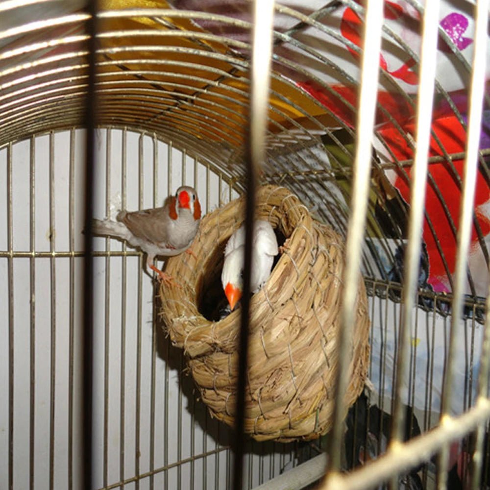 Wholesale Bulk 1pc Natural Handmade Straw Bird Nest Pigeon House Parrot Nest Warm Pet Bedroom Courtyard Small Animal Bird Cages - Furbury