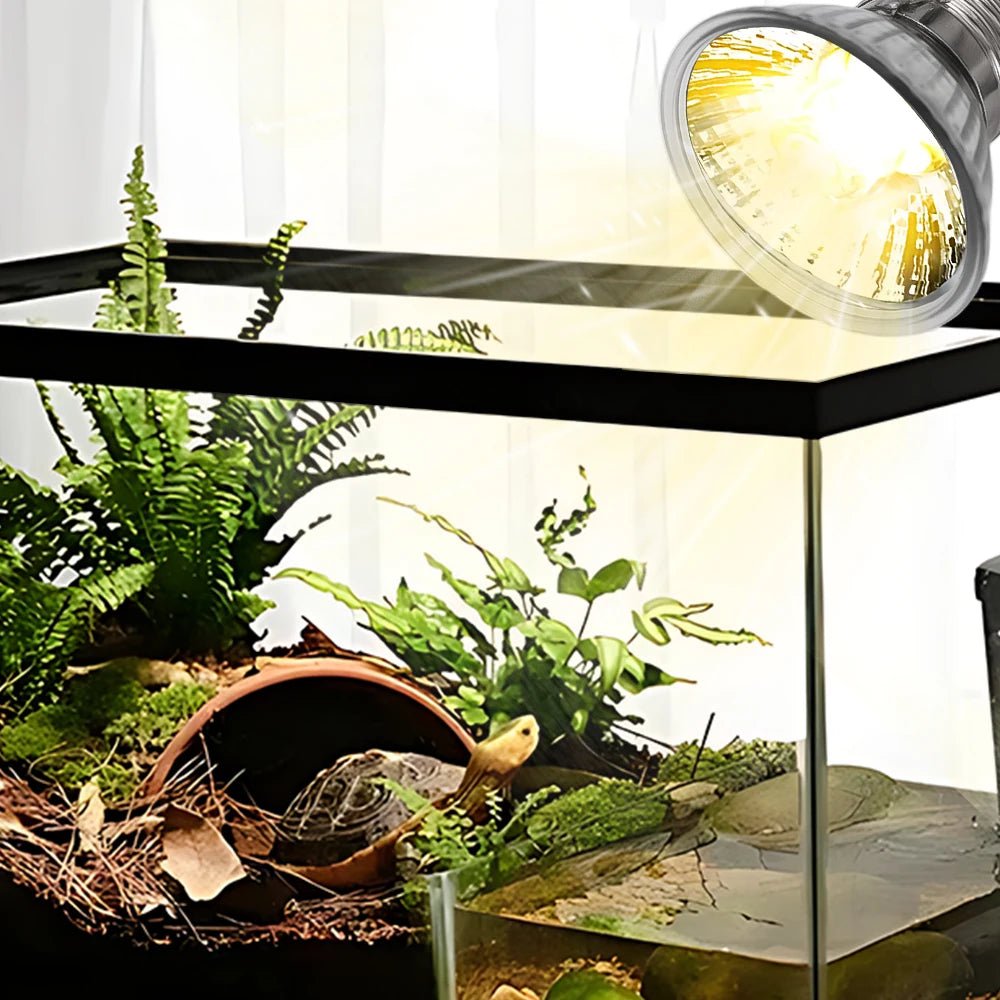 Wholesale Bulk 25/50/75W UVB Reptile Lamp Bulb Tortoise Basking UV E27 Bulbs Amphibians Pet Snake Lizard Heating Sunlamp Calcium Supplement - Furbury
