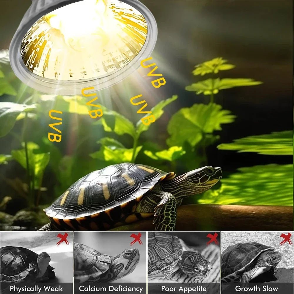 Wholesale Bulk 25/50/75W UVB Reptile Lamp Bulb Tortoise Basking UV E27 Bulbs Amphibians Pet Snake Lizard Heating Sunlamp Calcium Supplement - Furbury