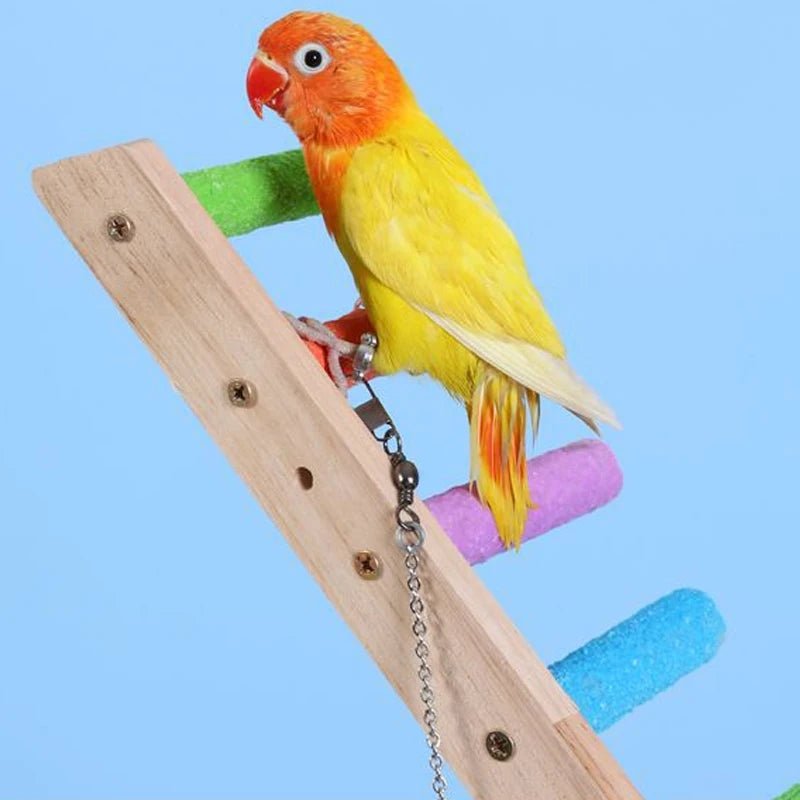Wholesale Bulk 4/6/8 Step Bird Climbing Ladder Parrot Toy Ladder Bird Interaction Fun Climbing Toys Wooden Exercise Rack - Furbury