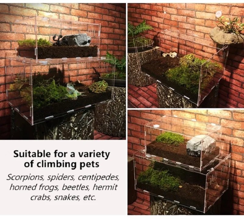 Wholesale Bulk Acrylic Reptile Container Magnetic Acrylic Reptile Cage Acrylic Reptile Breeding Box With Thermometer And Insect Breeding Box - Furbury