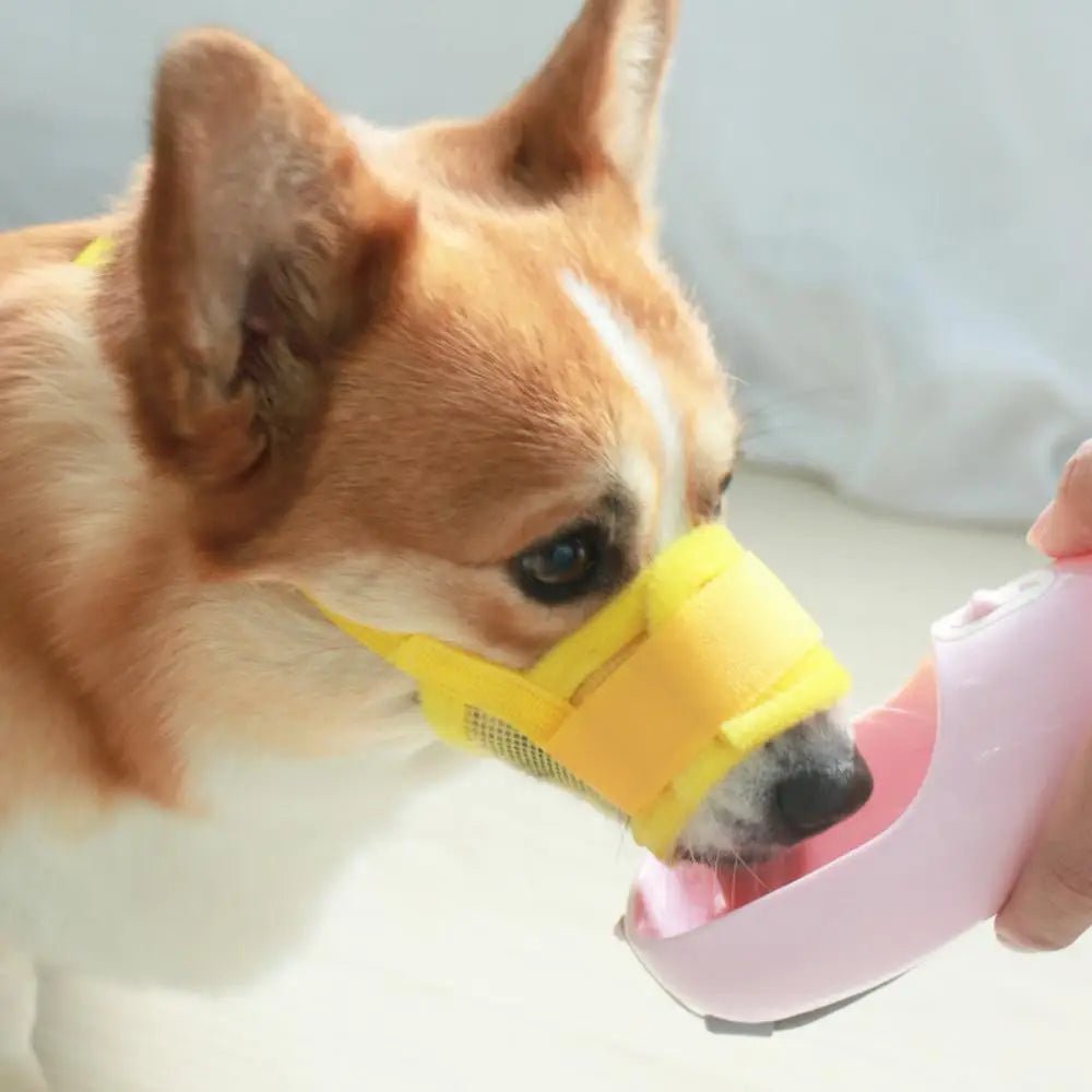 Wholesale Bulk Anti Barking Dog Muzzle for Dogs Adjustable Mesh Breathable Pet Mouth Muzzles Small Medium Large Dogs Anti - biting Pet Supplies - Furbury