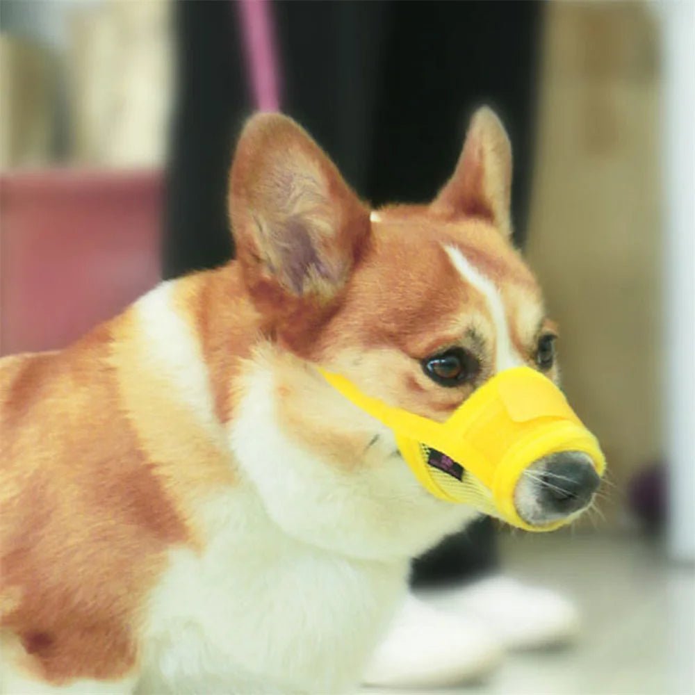 Wholesale Bulk Anti Barking Dog Muzzle for Dogs Adjustable Mesh Breathable Pet Mouth Muzzles Small Medium Large Dogs Anti - biting Pet Supplies - Furbury