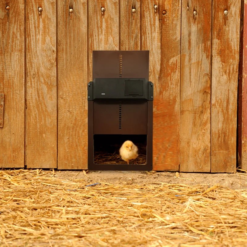Wholesale Bulk Automatic Chicken Coop Door Opener Battery Powered Light Sense Control Waterproof Pet Flap Accessories Upgrade ABS House Gate - Furbury